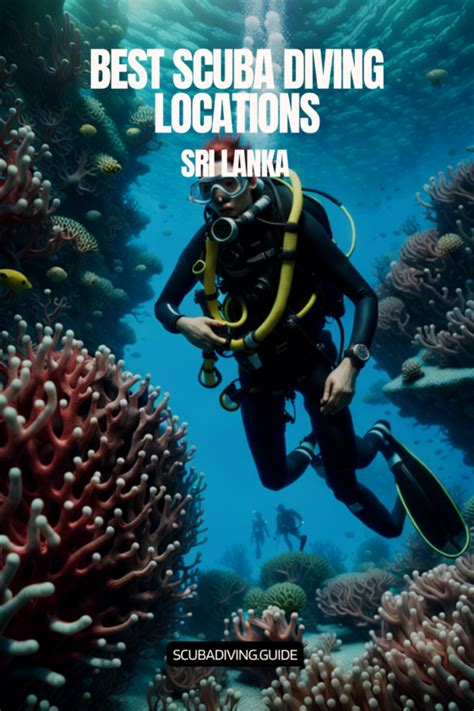 Best Liveaboards Scuba Diving Locations In Sri Lanka