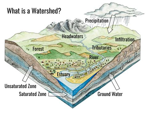 Our Watershed — Necanicum WC