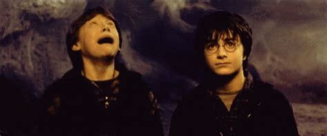 Harry Potter Ron GIF - HarryPotter Ron Crying - Discover & Share GIFs