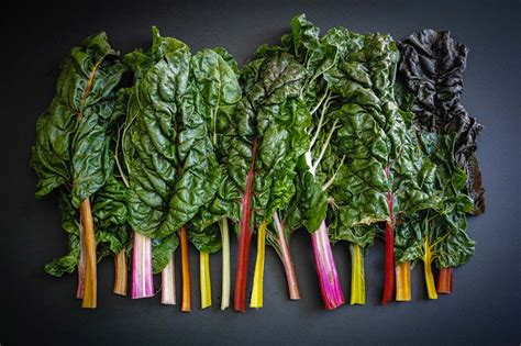 Don’t Do Meat? Here Are 6 Plant-Based Foods That Are High In Iron – Amodrn