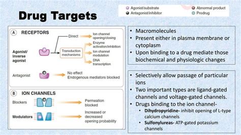 Receptor Desensitization And Regulation Of Receptors Diseases