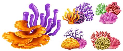 3 217 Coral Reef Clipart Stock Vectors And Vector Art Shutterstock