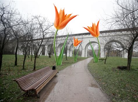 Огромные цветы в парках