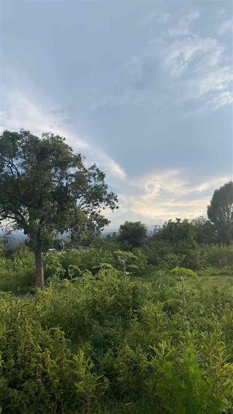 Venta Lote De Terreno En San Miguel Xoxtla Puebla Lotecuamilpa