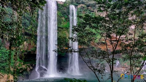 Descubre La Riqueza Natural Y Cultural De Chiapas Cascadas De Agua