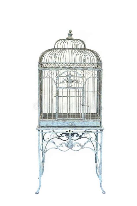 Pin By Liz Thomas On Interiors Scrapbook Vintage Bird Cage Decor