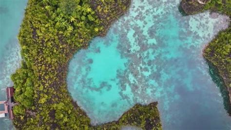 Sauwandarek Yenbuba Dan Arborek Tiga Spot Menyelam Terbaik Di Raja