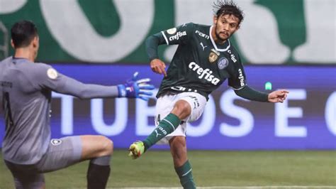 Palmeiras visita Botafogo no Brasileirão saiba onde assistir Conheça