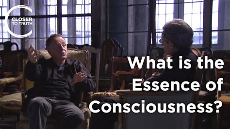 Colin Mcginn What S The Essence Of Consciousness Youtube