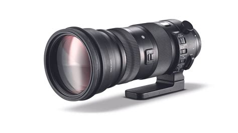 The Best Nikon Telephoto Lenses In 2025 Digital Camera World