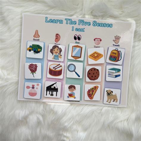 Five Senses Sorting Activity Five Senses Game For Kids 5 Senses