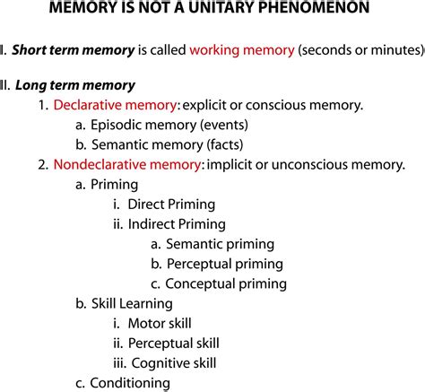 Memory Part 1 Overview American Journal Of Neuroradiology