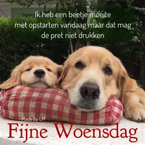 Woensdagavond Afbeeldingen Fijne Avond Leukeplaatjesnl
