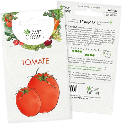 Graines De Tomate Solanum Lycopersicum Graines De Tomates Cultiver