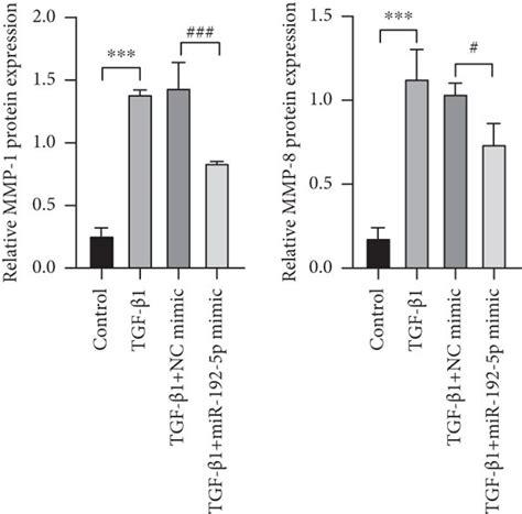 Mir P Inhibits The Fibrosis In Tgf Stimulated Tendon Cells A