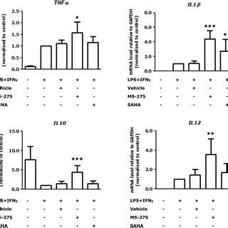 MS 275 Enhances Gene Expression Of Pro And Anti Inflammatory Genes In