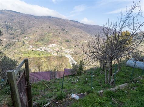 Terratetto Unifamiliare In Vendita Via Tommaso Campanella Gimigliano