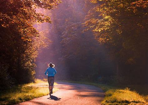 Hardlopen Vs Wandelen Wat Is Beter Voor Je Hardlopen Sport Informatie