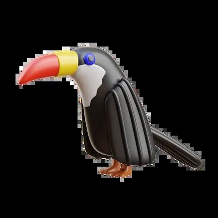 6 Toucan Anatomy 3D Illustrations - Free Download in PNG, BLEND, glTF | IconScout