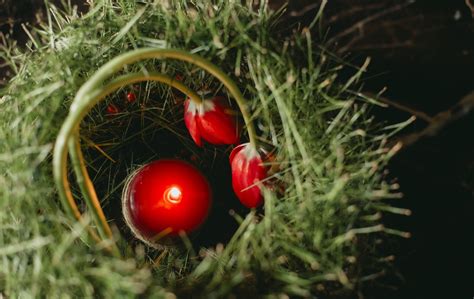 Centrotavola Floreali Di Design Per Natale Emozioni Floreali Di Mirna