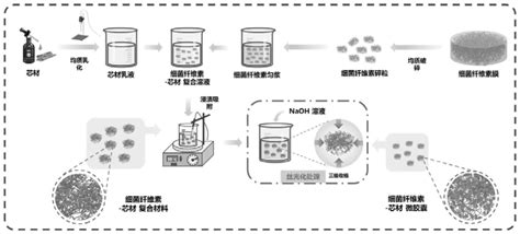 一种细菌纤维素微胶囊及其制备方法与应用