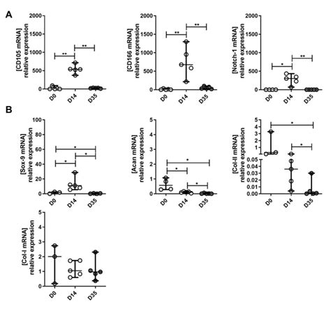 The Expression Of Mpc Chondrocyte And Hypertrophic Chondrocyte Markers