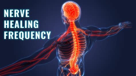 Miracle Nerve Healing Frequency Heal And Repair Nerve Damage Reduce