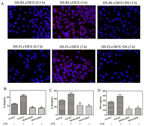 Cellular Uptake And Suppress The Inflammation Of Ds Rls Dex And