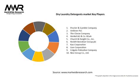 Dry Laundry Detergents Market 2024 2032 Size Share Growth