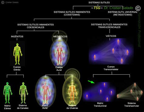 Anatom A Sutil Los Cuerpos Y Los Dobles Sutiles O Naguales