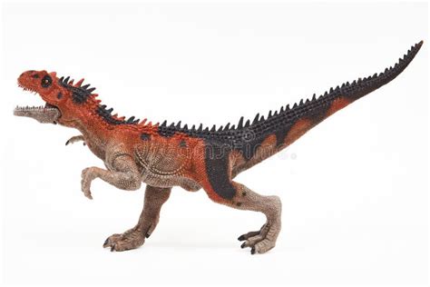 Saurophaganax Dinosaur Rubber Toy Isolated On White Stock Image Image