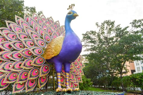 Giant Peacock Francisco Anzola Flickr