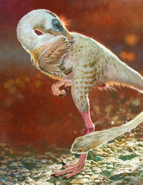 17 Best images about Prehistoric Birds on Pinterest | The western, Prehistoric animals and Mammals