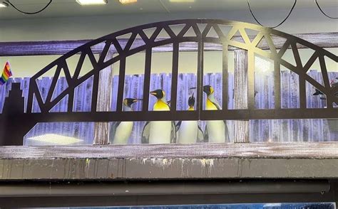 Sydney S Gay Penguins Marched In Their Own WorldPride Parade