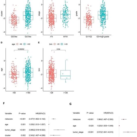 Boxplot Of Correlation Between The Risk Score And Gu Like Or Gs Like