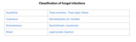 Dermatology High Yield Review Microbiology Flashcards Quizlet