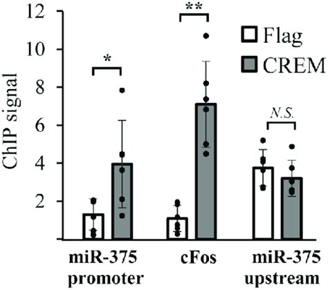 Crem Binds To The Mir Promoter In Cells Chip Assays Were Performed