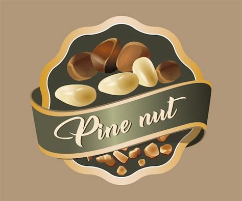 Premium Vector Pine Nut Vector Sticker