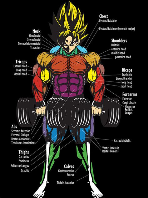 Muscle Chart Anatomy Diagram Anime Gym Motivational Photograph By