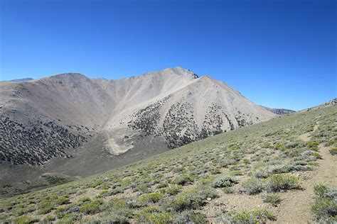 Nevada’s Highest Point Boundary Peak Often Overlooked Las Vegas Review Journal