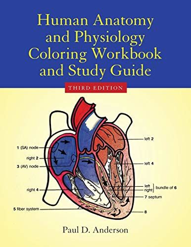 Human Anatomy And Physiology Coloring Workbook 3e Anderson Paul