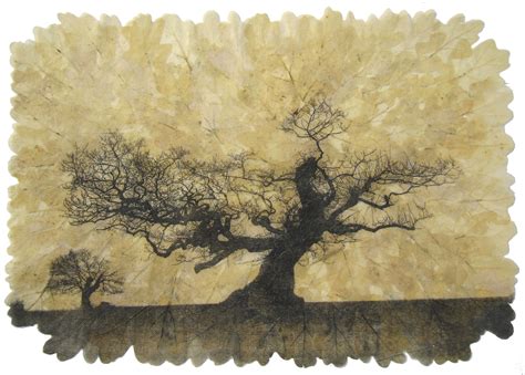 Emma Buckmaster— The Arborealists — The Arborealists