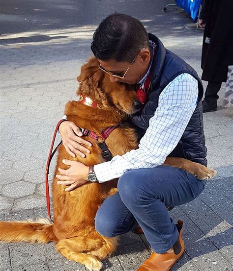 12 Adorable Pics of Dogs Hugging Their Owners