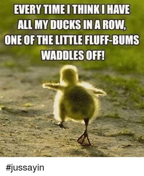 35 Duck Memes That Will Make You Quack All Day