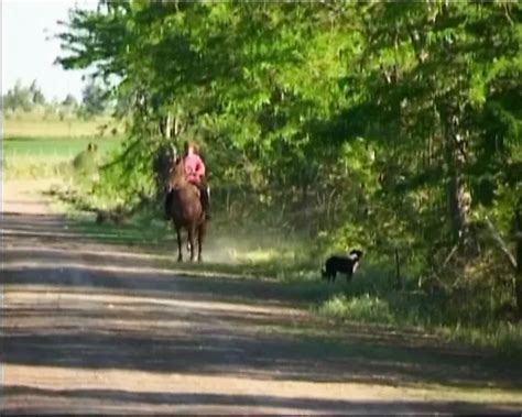 Come With Me To Warm South America Scene Italian Porn By Centoxcentovod Xhamster