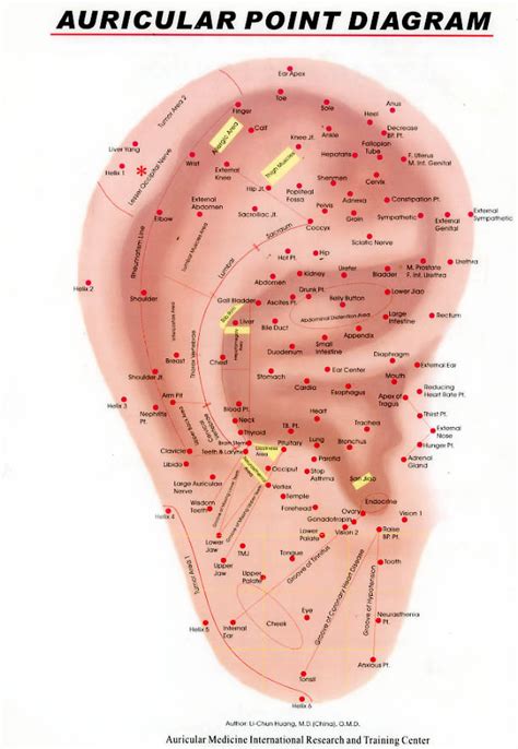 Acupuncture & Weight Loss | Danee Barnett Image Recovery Center