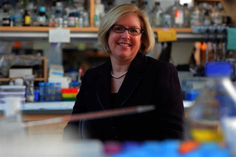 weill cornell medical college creates office  faculty development