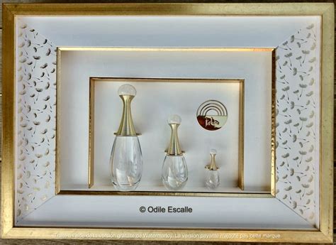 Three Glass Vases Are In A Gold Frame