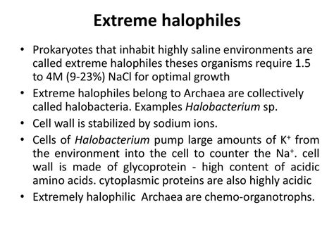 Halophiles_examples