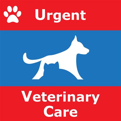 Pet Care Services in Central New York | Urgent Veterinary Care